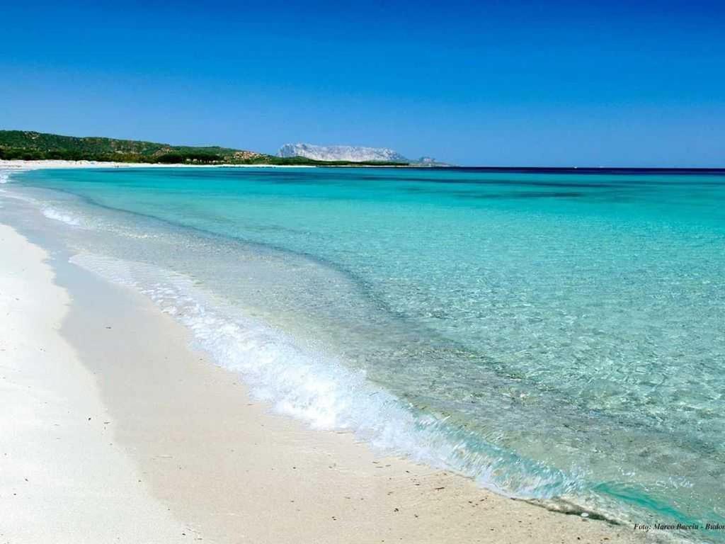 Villa Indipendente Al Mare Budoni Tanaunella Dış mekan fotoğraf