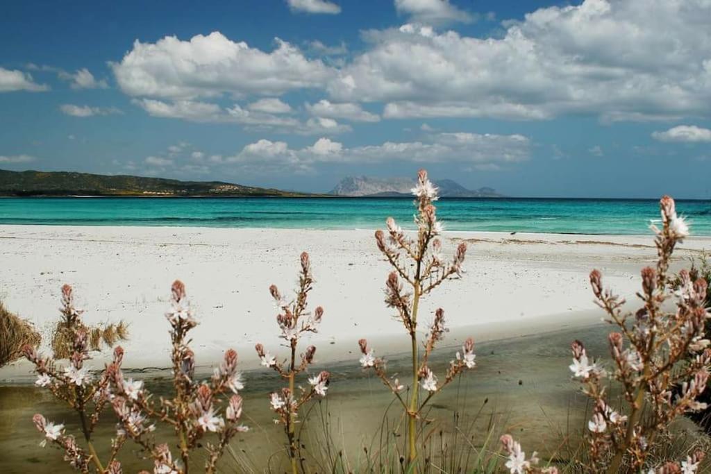 Villa Indipendente Al Mare Budoni Tanaunella Dış mekan fotoğraf