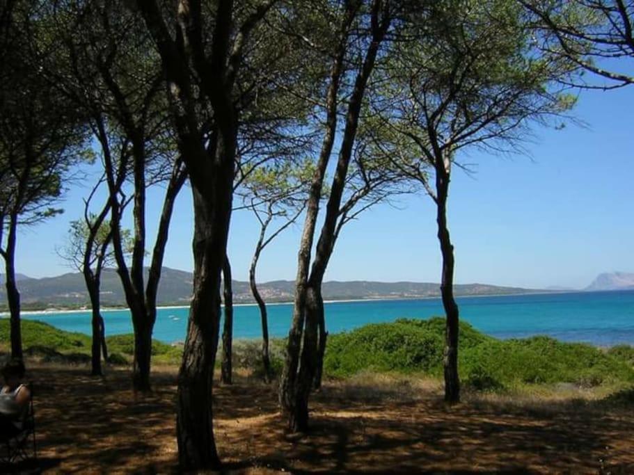 Villa Indipendente Al Mare Budoni Tanaunella Dış mekan fotoğraf